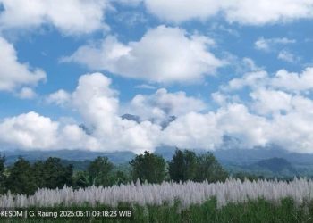 Aktivitas Vulkanik Gunung Raung Meningkat, Abu Menyebar ke Timur Laut 3 Aktivitas Vulkanik Gunung Raung