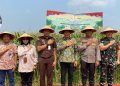 Forkopimda Sidoarjo