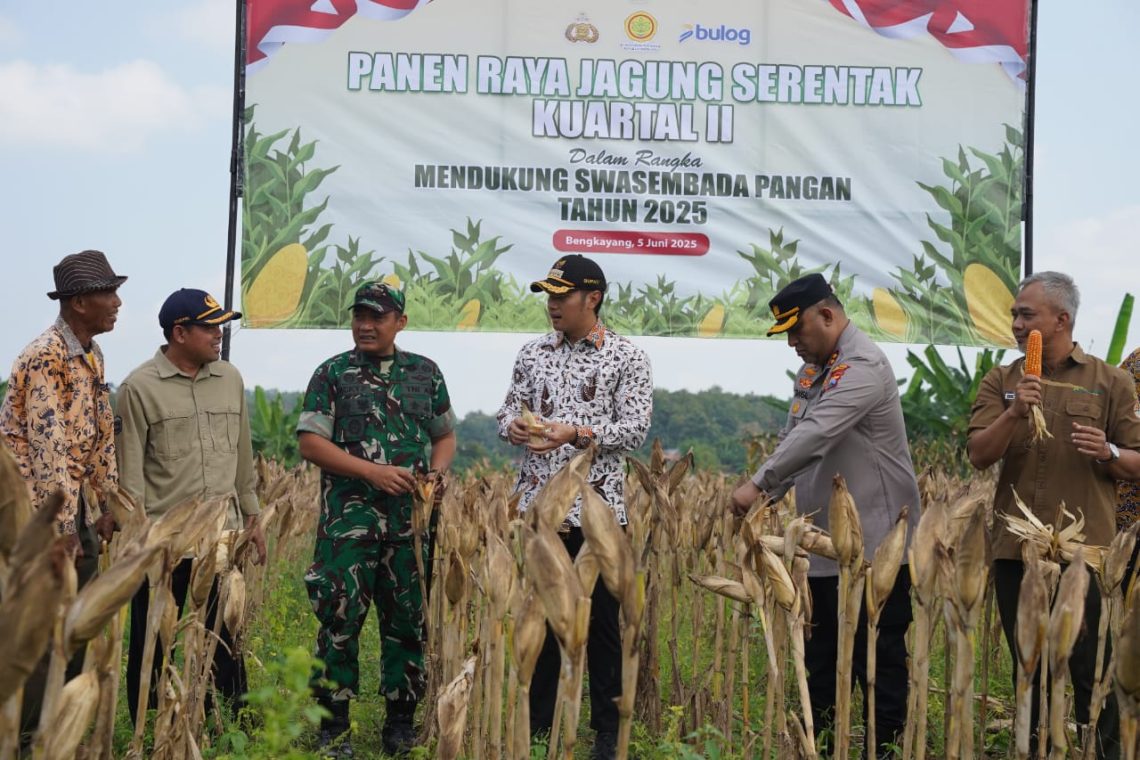 Bupati Tuban