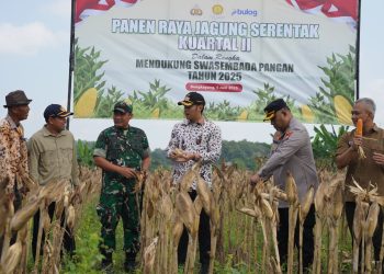 Bupati Tuban