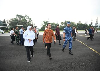 Wapres RI