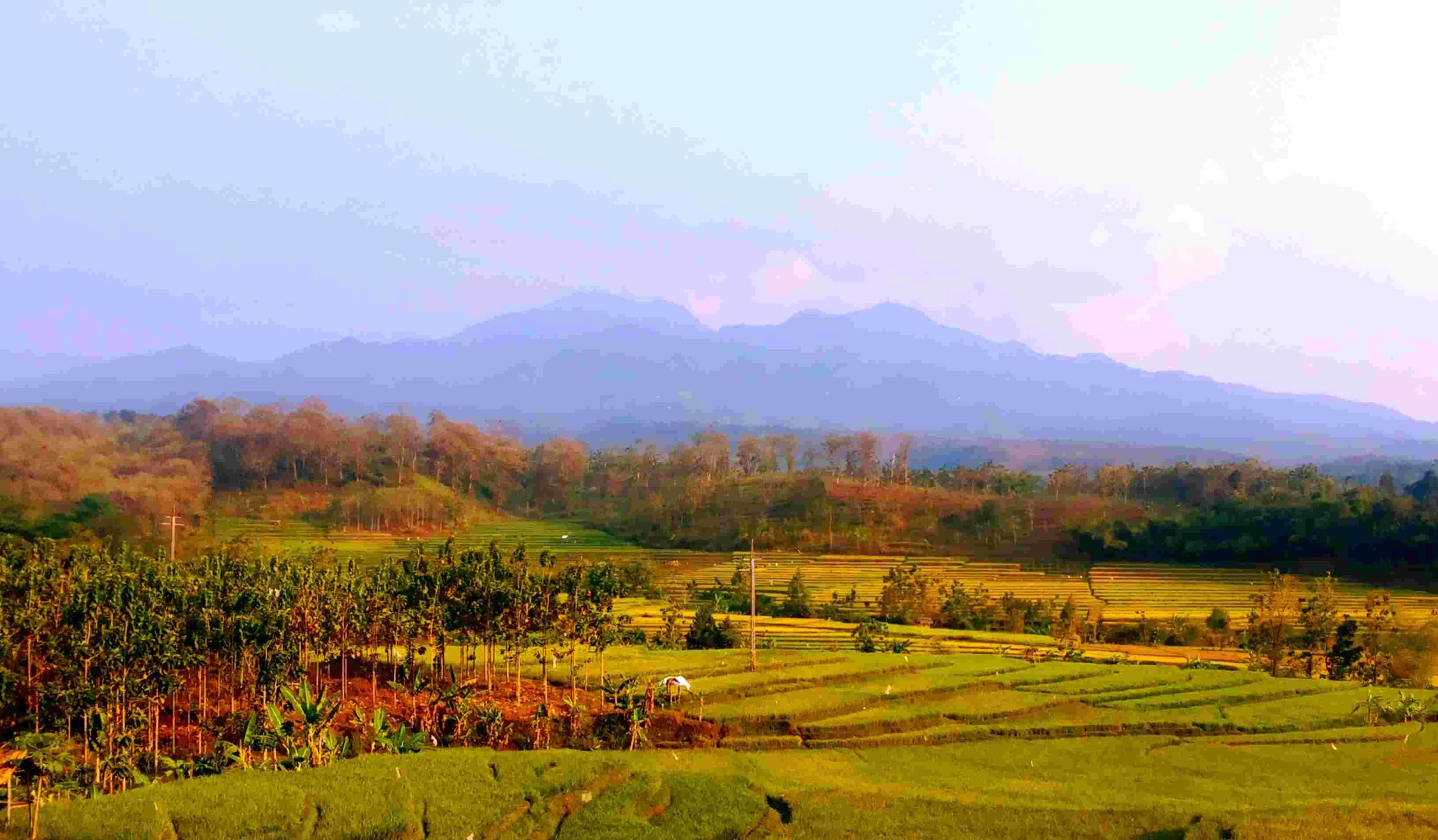 Rekomendasi 4 Gunung di Kediri untuk Pendaki Pemula, Viewnya Gak Kalah sama Rinjani 7 Gunung di Kediri