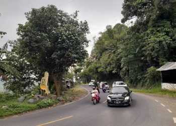 Jalur Gumitir.