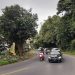 Buntut Penutupan Jalur Gumitir Penghubung Jember-Banyuwangi, DPRD Minta Kajian 8 Jalur Gumitir.