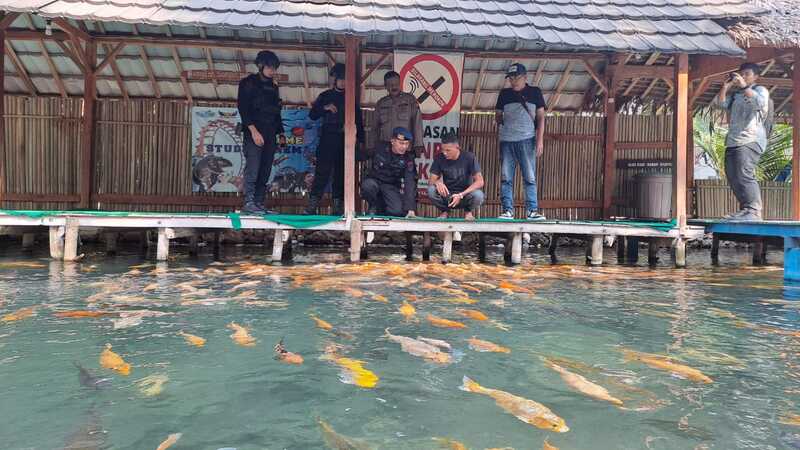 Granat nanas Tuban.