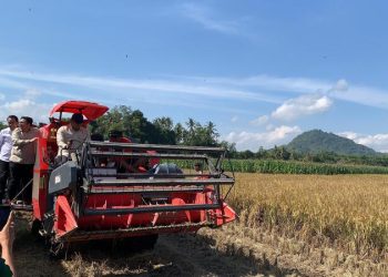 Wamen Pertanian.