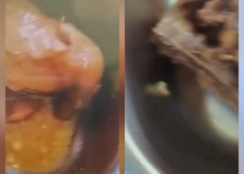 Makanan MBG berbelatung.