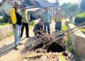 DPRD Jember.