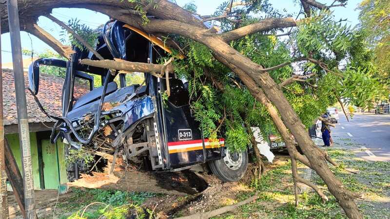 Sopir Nyalip Hilang Kendali, Bus di Tuban Kecelakaan Tunggal Tabrak Pohon di Jalur Pantura 1 Bus di Tuban.