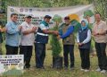 Akar Brantas.