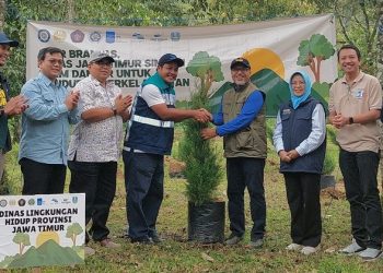Akar Brantas.