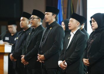 DPP BNPM.