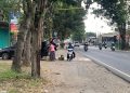 Tengkulak BBM di Jember.