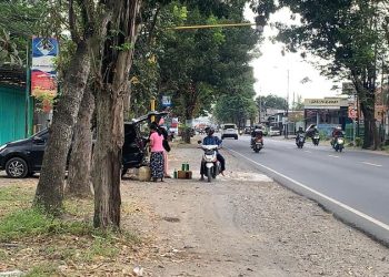 Tengkulak BBM di Jember.