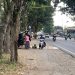 Tengkulak BBM di Jember.