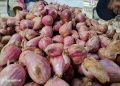 Harga Bawang Merah