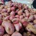 Harga Bawang Merah Meroket di Pasar Tuban, Pedagang: Barang Bagus, Tapi Kok Mahal? 10 Harga Bawang Merah