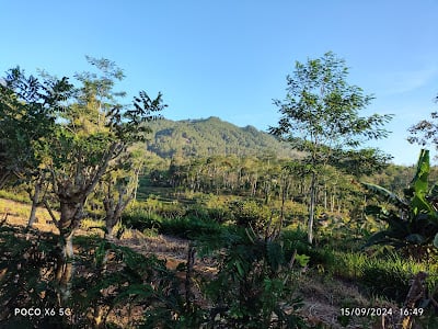 5 Gunung di Trenggalek, Surga Pendakian dengan Pesona Alam dan Budaya 7 Gunung di Trenggalek