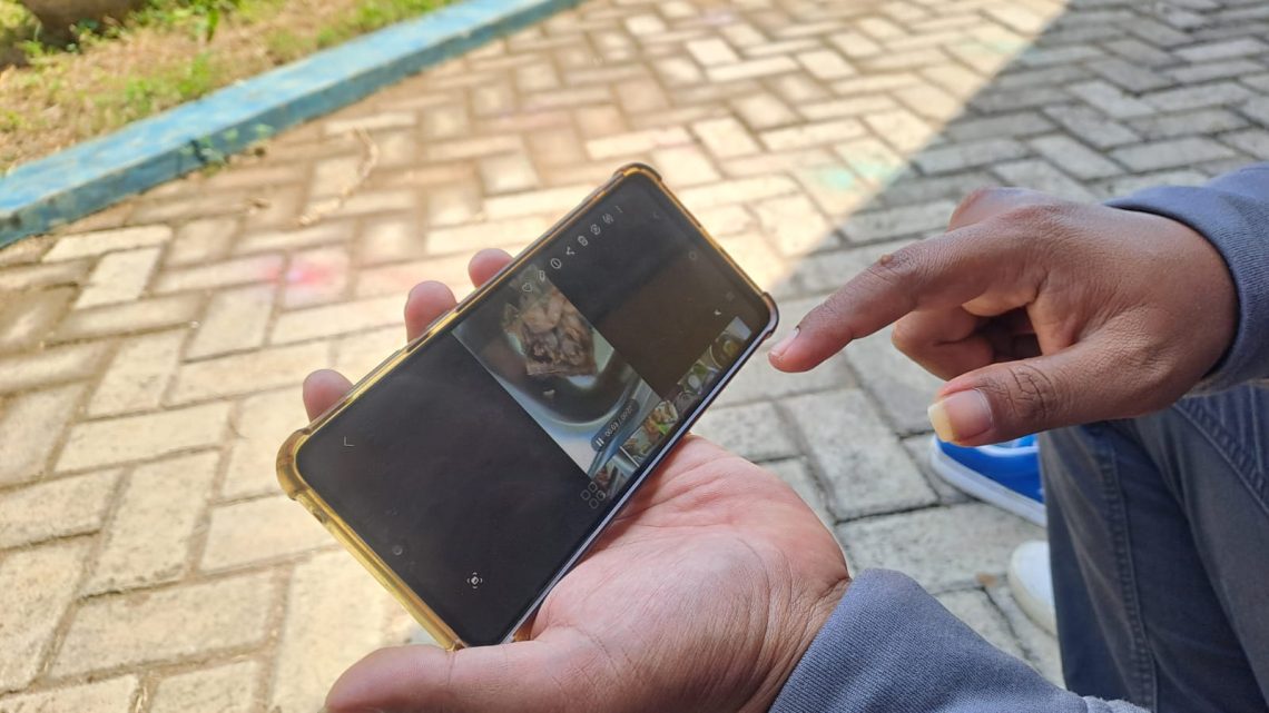 ulat belatung