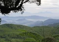 Gunung di Trenggalek