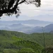 5 Gunung di Trenggalek, Surga Pendakian dengan Pesona Alam dan Budaya 8 Gunung di Trenggalek