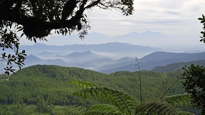 5 Gunung di Trenggalek, Surga Pendakian dengan Pesona Alam dan Budaya 5 Gunung di Trenggalek
