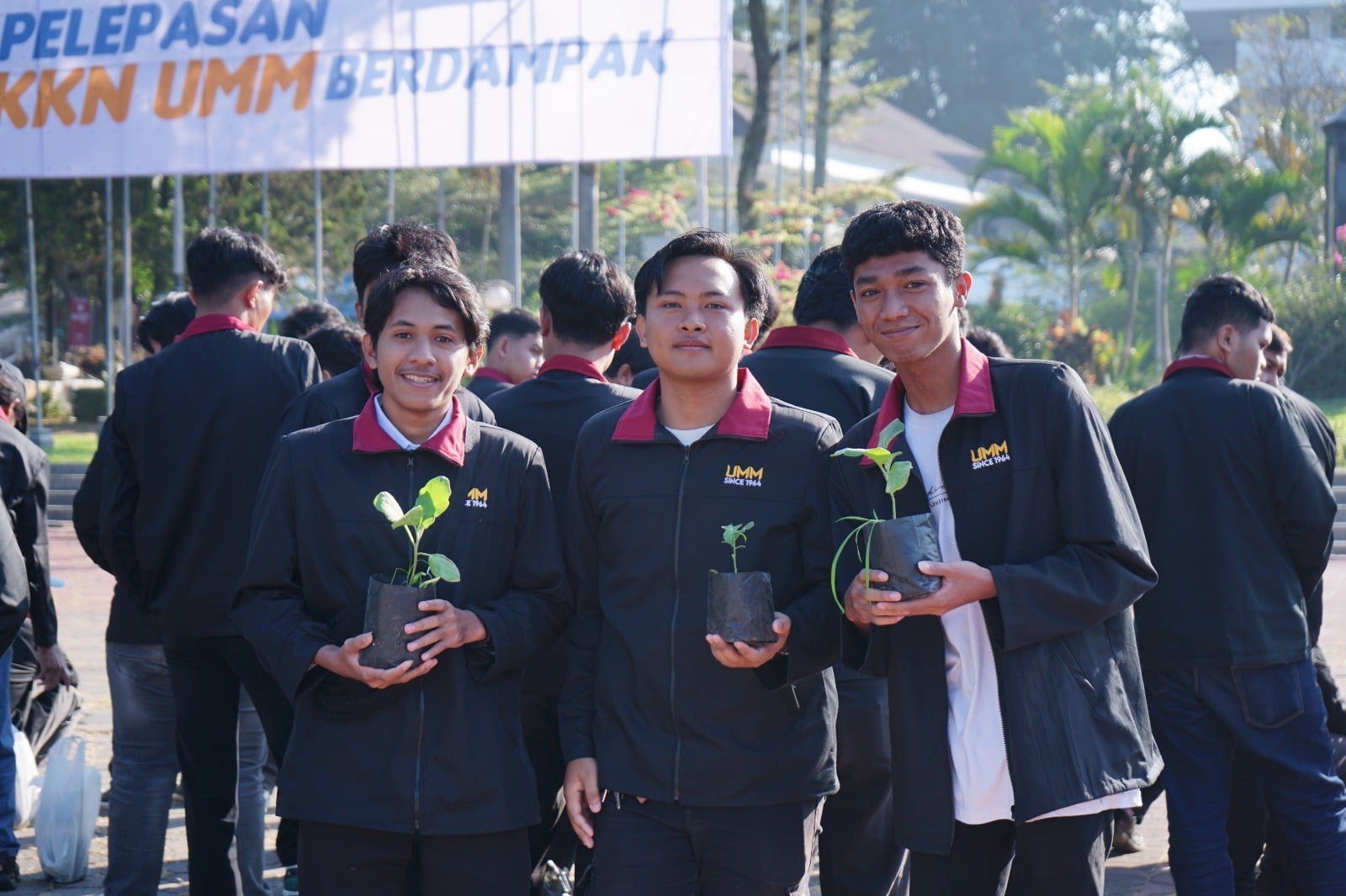 Peserta KKN Berdampak Ketahanan Pangan Wajib 'Tumbuhkan' Bibit Tanaman di 12 Provinsi 2 tanaman 1