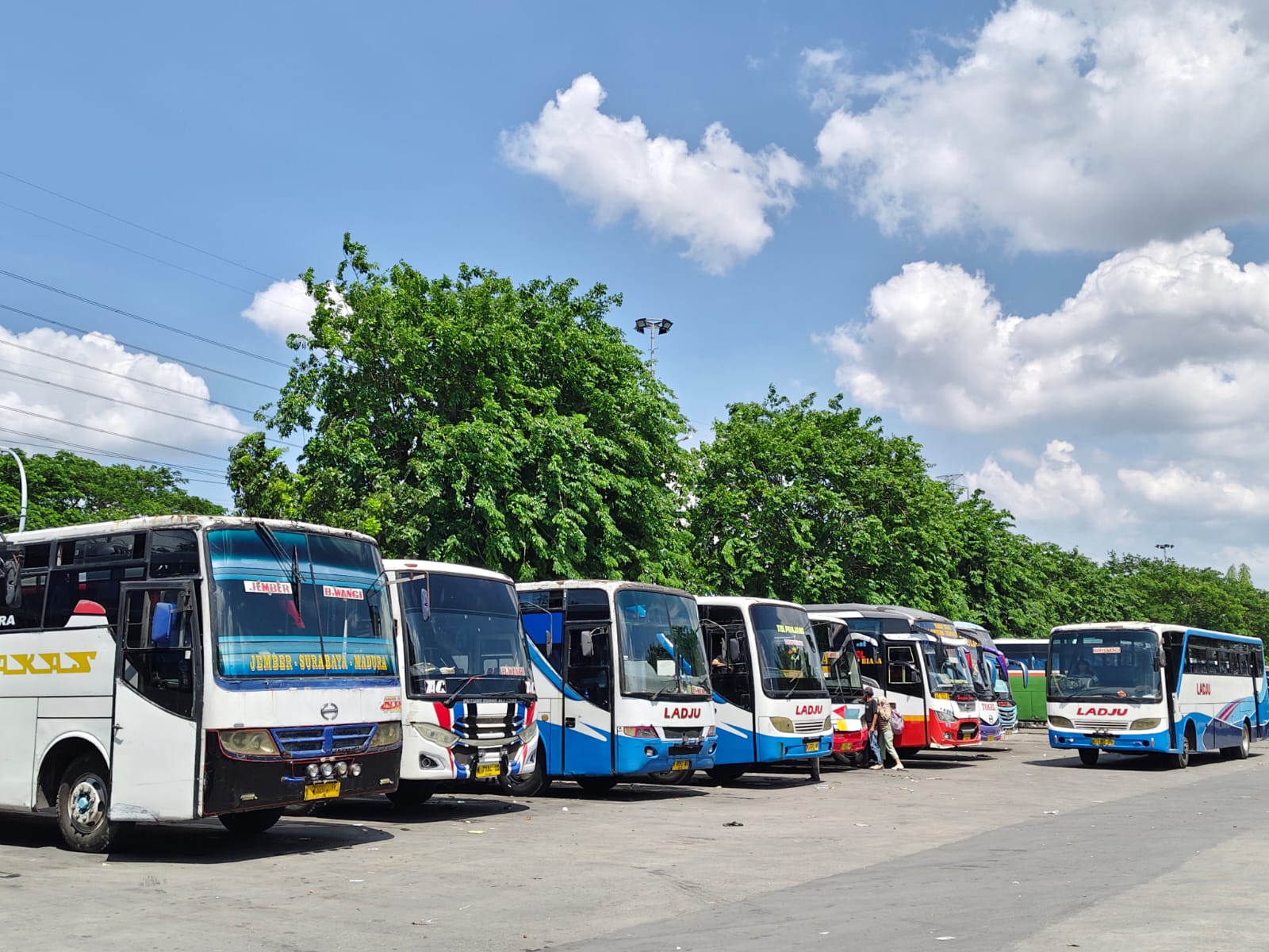 Annisa Srikandi Terminal, dari Guru Jadi Kondektur Bus Surabaya-Jember Demi Masa Depan Anak 2 Annisa Srikandi Terminal