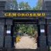Gunung Lawu via Cemoro Sewu