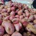Harga bawang merah.