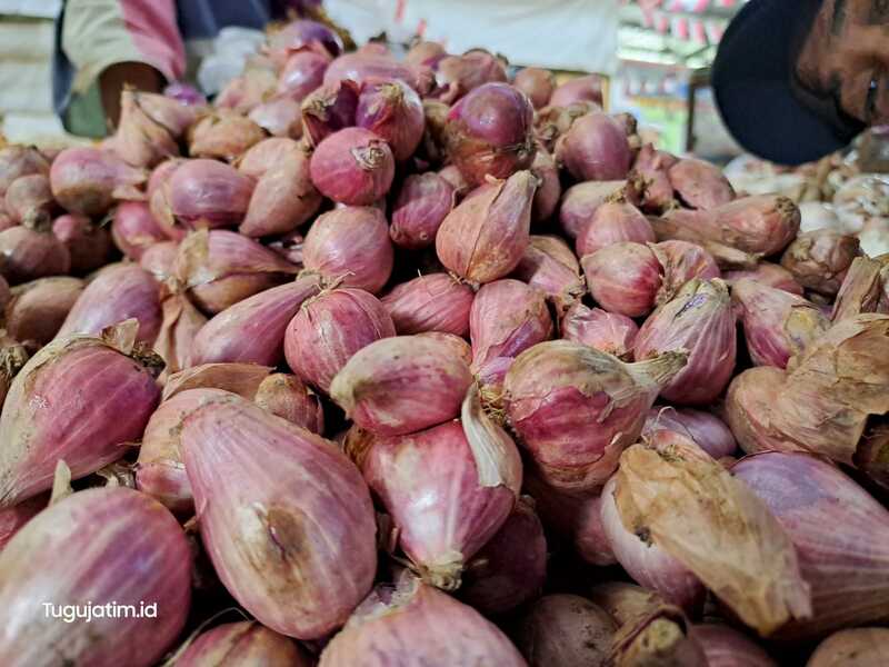 Harga Bawang Merah di Tuban Anjlok, Pedagang: Pasokan Melimpah 1 Harga bawang merah.