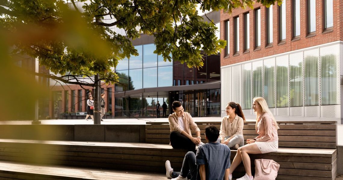 beasiswa kuliah di Finlandia