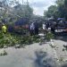 Dahan Pohon Diameter 40 Meter di Kepanjen Patah Diterjang Angin Kencang, Timpa Mobil dan Tutup Akses Jalan 8 Dahan pohon.