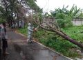Kota Mojokerto.