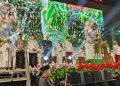 Jember Bersholawat 2025