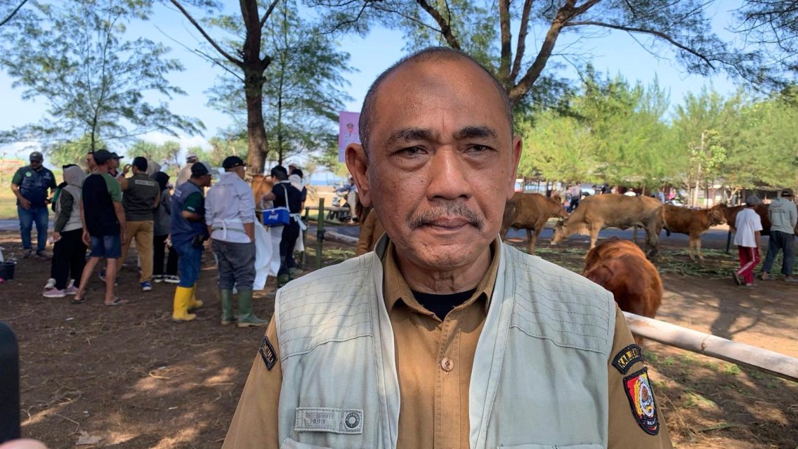 Krisis Personel Medis Veteriner Jadi Tantangan Ketahanan Pangan Kabupaten Jember 1 Krisis Personel Medis Veteriner