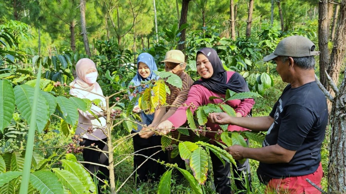 Angkat Cita Rasa Robusta Lokal: Tim Dosen FH Unikama Bawa Kopi Katu dari Wadung ke Pasar Nasional 1 Kopi Katu