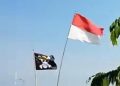 bendera One Piece