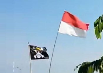 bendera One Piece