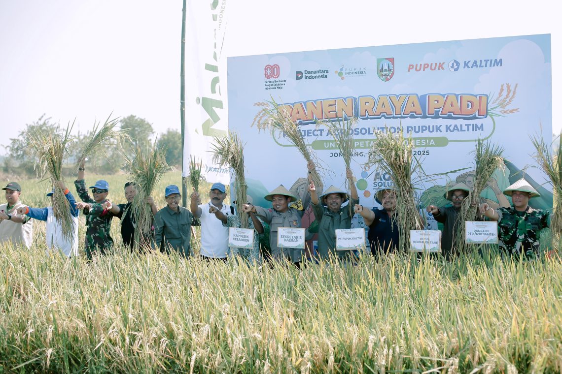 Dukung Ketahanan Pangan, Pupuk Kaltim Panen Raya Padi Agrosolution di Jombang 1 Pupuk Kaltim Panen Raya