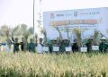 Pupuk Kaltim Panen Raya