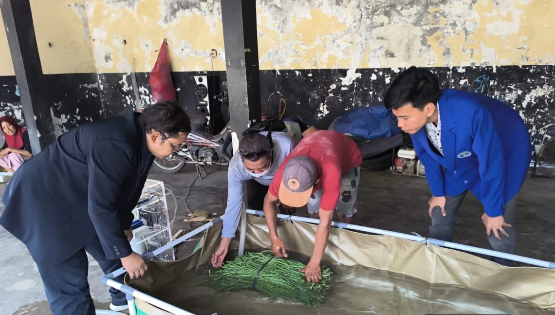 mesin ozon dan cold storage