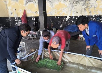mesin ozon dan cold storage