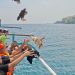 Tradisi Ayam Sap-Sap Situbondo Jadi Magnet Wisata Pantai Pasir Putih 10 Tradisi Ayam Sap-Sap