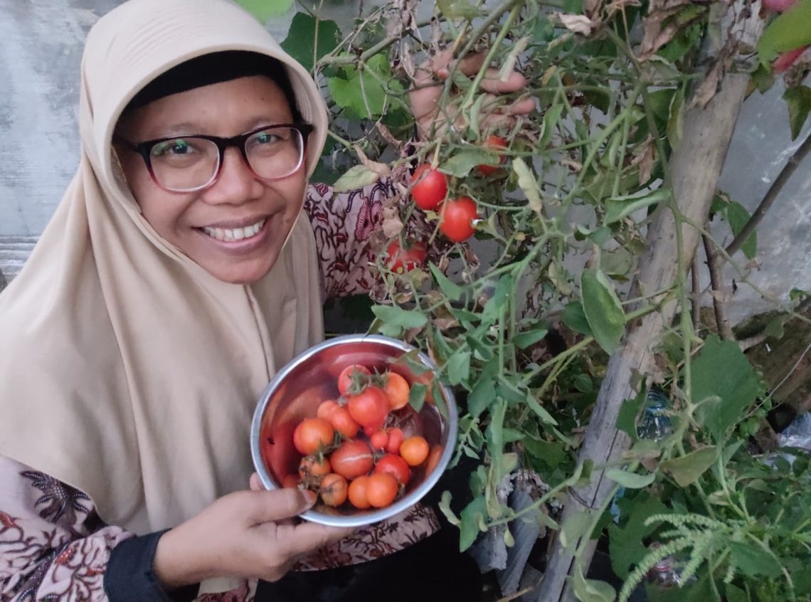 Tips Olah Tomat Saat Harga Anjlok
