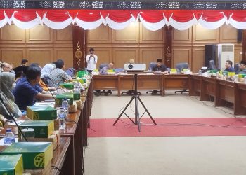 DPRD Sidoarjo Minta Dinkes Investigasi Buntut Kasus Kematian Balita Hanania