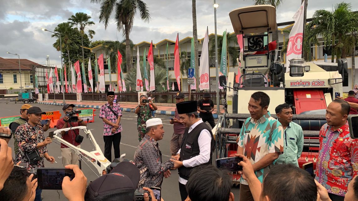 Jember kembali jadi penghasil padi