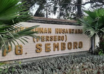 PG Semboro