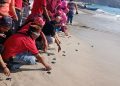 Pantai Papuma