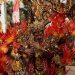 Wonderful Archipelago Carnival Indonesia